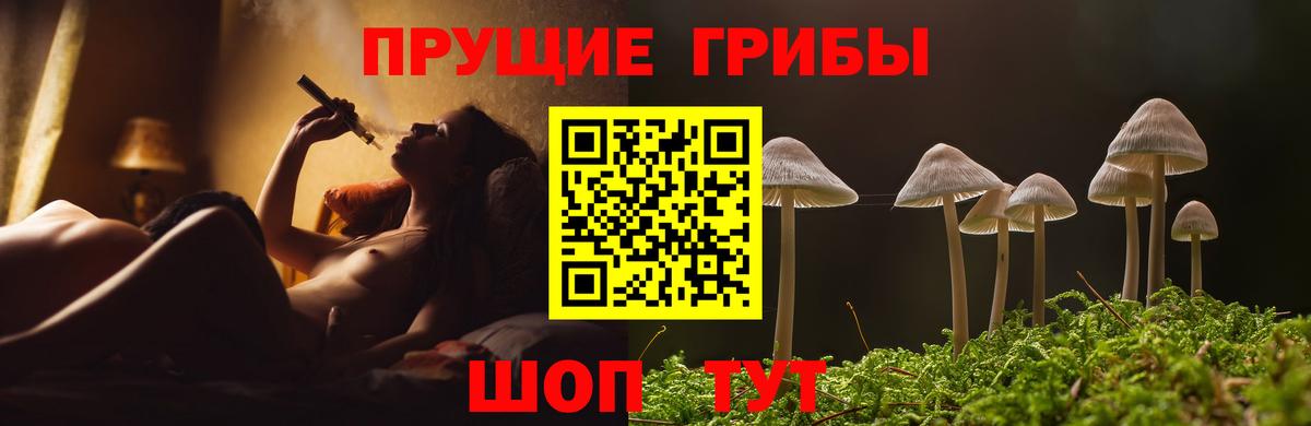 Псилоцибиновые грибы ЛСД  Вход с VPN  Артём 